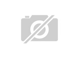 Rottweiler Rüde 6 Monate alt